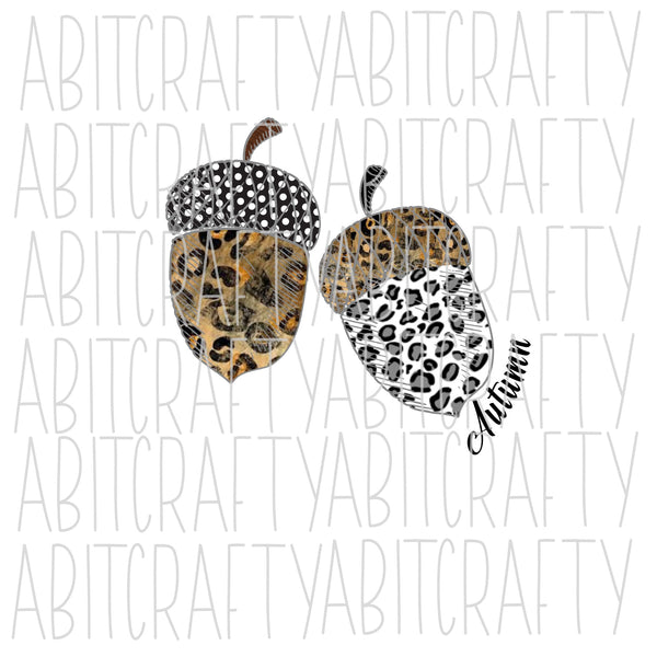 Acorns for Autumn png, sublimation, digital download