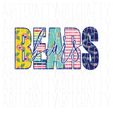 Bears Mascot/Multicolor/Back to School/Teacher Design/png/digital download/sublimation, dtg, print then cut