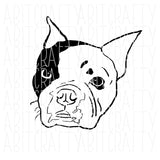 Boston Terrier SVG/PNG/Sublimation File, digital download, cricut, silhouette - hand drawn