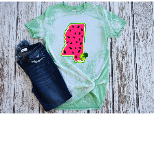Mississippi Watermelon/Summer/ PNG/SVG/print and cut/ sublimation, digital download, vector art - 2 versions included!