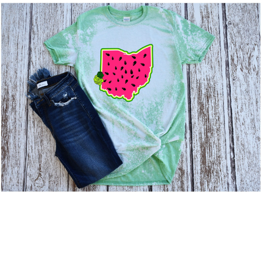 Ohio Watermelon/Summer/ PNG/SVG/print and cut/ sublimation, digital download, vector art - alternate version included!