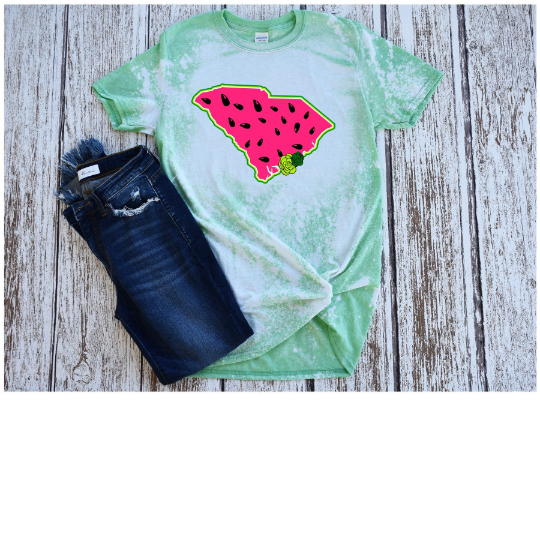 South Carolina Watermelon/Summer/ PNG/SVG/print and cut/ sublimation, digital download, vector art - alternate version included!