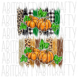 Pumpkin Patch PNG/Sublimation File